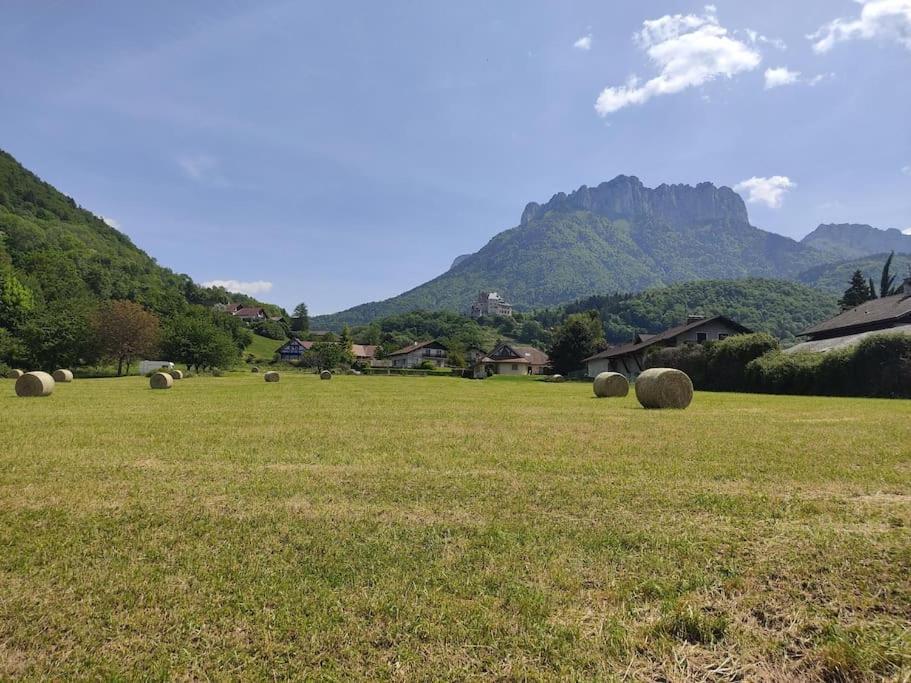 Bel Appartement Au Calme A 5 Minutes Du Village Menthon-Saint-Bernard Luaran gambar